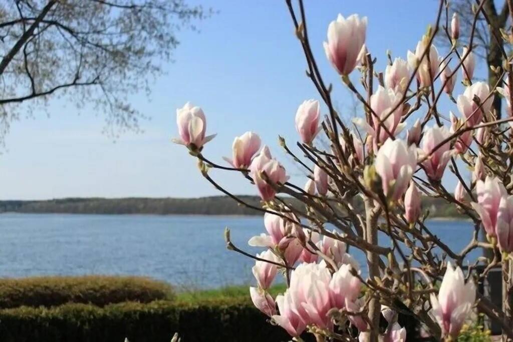 Fewo In Villa Mit Seeblick Плау ам Зее Екстериор снимка